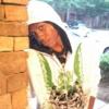 Shane_Mckinney